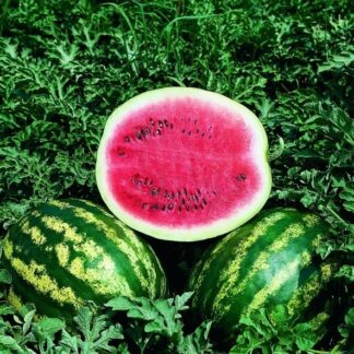 Natureseeds Crimson Sweet