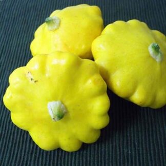 Natureseeds Sunburst Squash