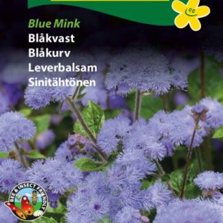 Natureseeds blåkvast blue mink