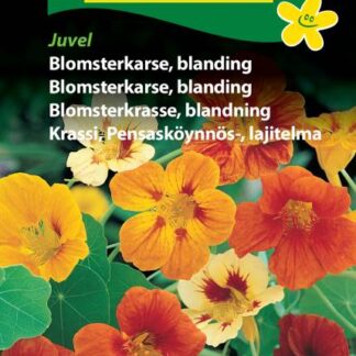 Natureseeds blomsterkarse blanding juvel