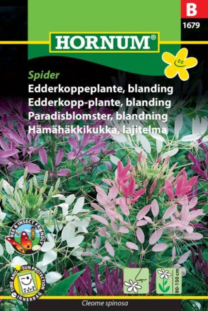 Natureseeds edderkoppeplante blanding spider