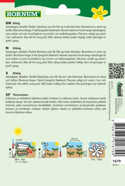 Natureseeds edderkoppeplante blanding spider2