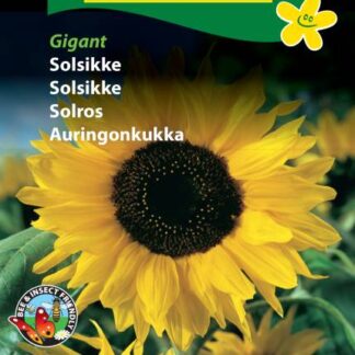 Natureseeds gigant solsikke forside