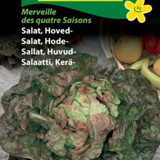 Natureseeds hovedsalat merveille des quatre saisons