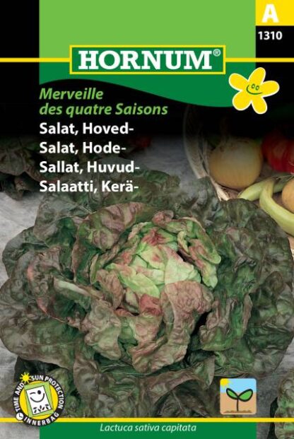 Natureseeds hovedsalat merveille des quatre saisons