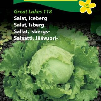 Natureseeds icebergsalat great lakes 118f