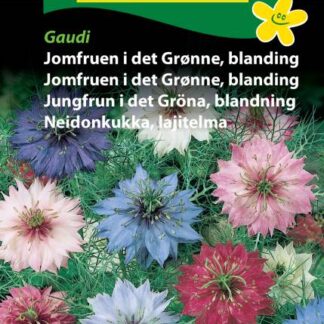 Natureseeds jomfruen i det grønne