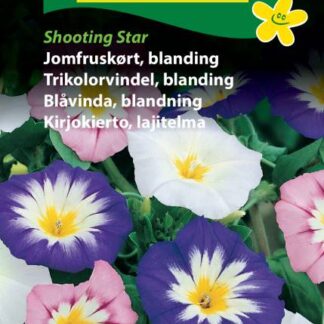 Natureseeds jomfruskørt blanding shooting star