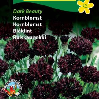Natureseeds kornblomst dark beauty