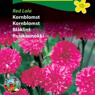 Natureseeds kornblomst red lola