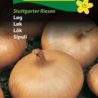 Natureseeds løg stuttgarten riesen