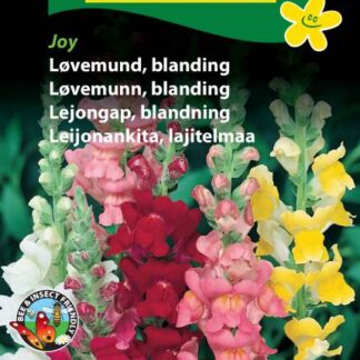 Natureseeds løvemund blanding joy