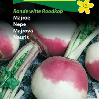 Natureseeds majroe ronde witte roodkop
