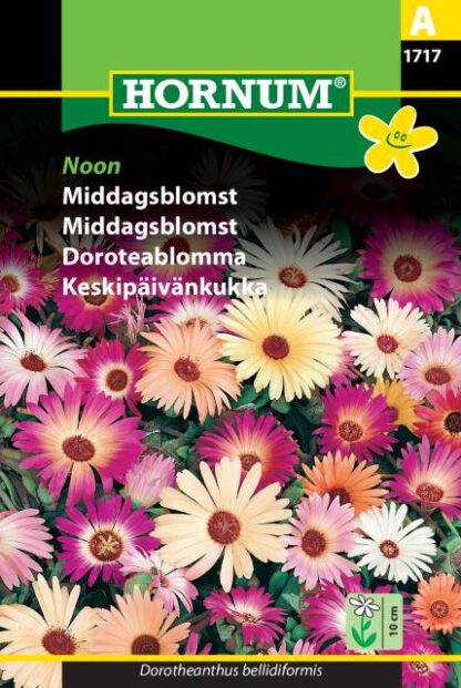 Natureseeds middagsblomst noon