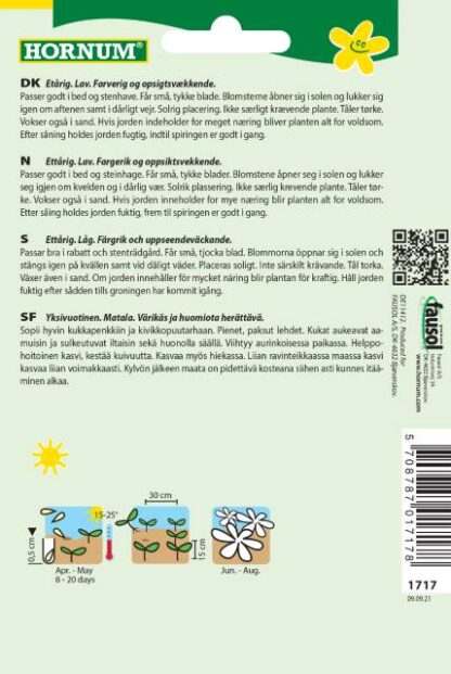 Natureseeds middagsblomst noon2