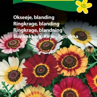 Natureseeds okseøje blanding