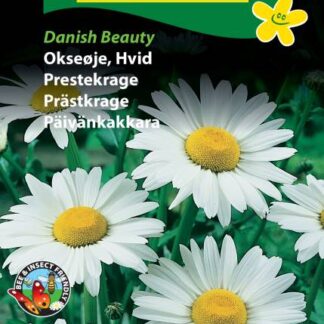 Natureseeds okseøje danish beauty