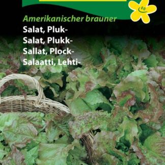 Natureseeds pluksalat amerikanischer brauner