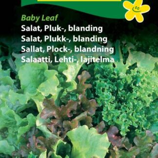 Natureseeds pluksalat baby leaf