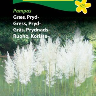 Natureseeds prydgræs pampas