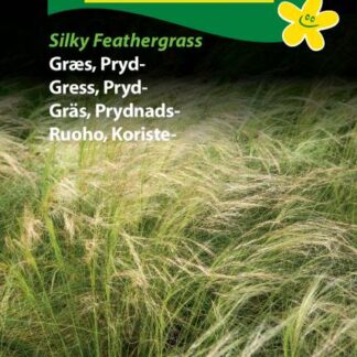 Natureseeds prydgræs silky feathergrass