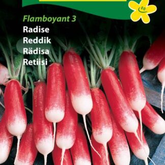 Natureseeds radise flamboyant 3