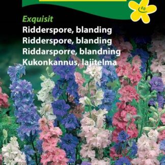 Natureseeds ridderspore blanding exquisit