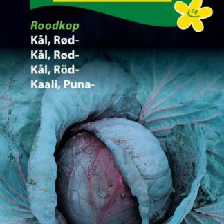 Natureseeds rødkål roodkop