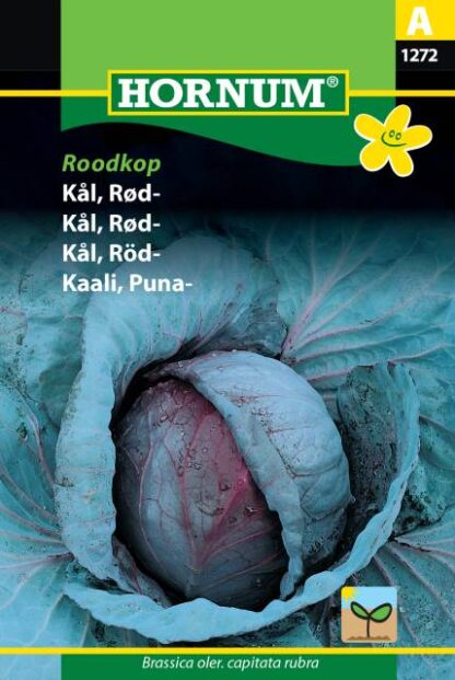 Natureseeds rødkål roodkop