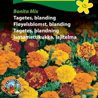 Natureseeds tagetes blanding sparky