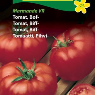 Natureseeds tomat marmande vr