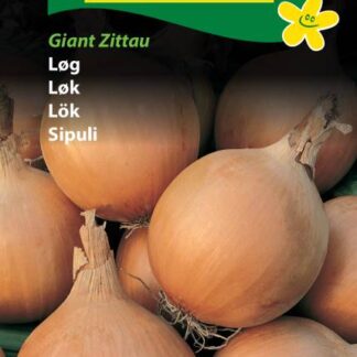 Natureseeds zittauerløg